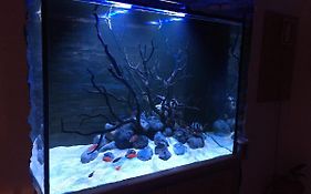 Aquarium House