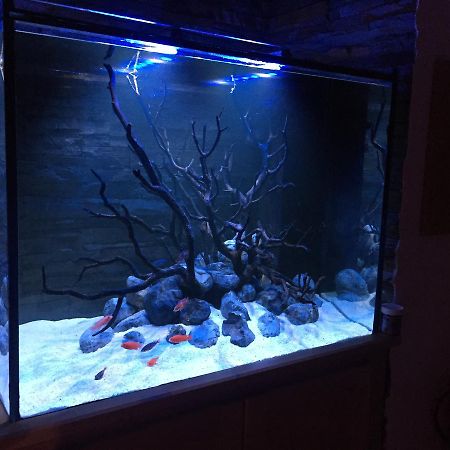 Aquarium House Apartment Sesimbra Exterior photo
