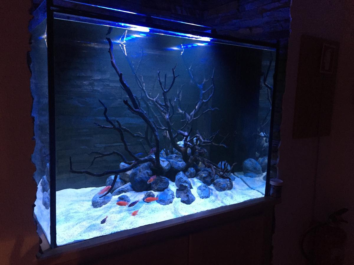 Aquarium House Apartment Sesimbra Exterior photo